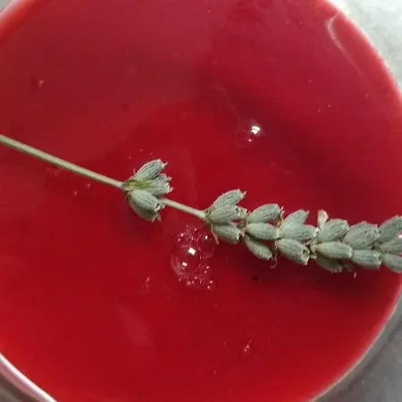 Y - Biello Sobrarbe